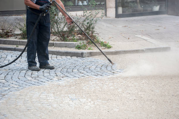 Best Roof Washing  in Buffalo Grove, IL